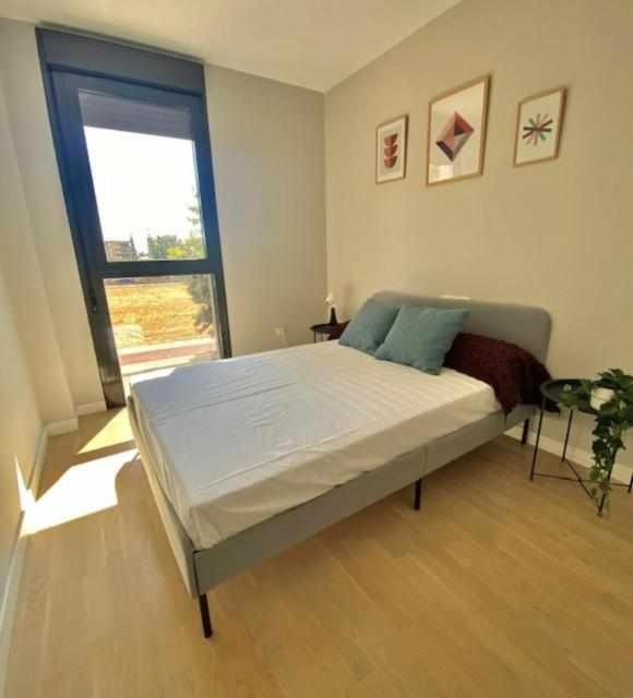 Gran Apartamento Laronda Lägenhet Córdoba Exteriör bild